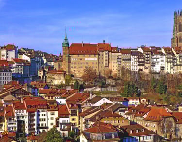 Traitement de charpente et traitement des insectes du bois dans le canton de Fribourg
