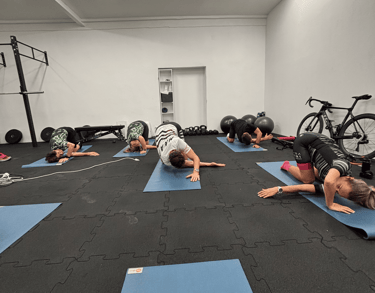 atletu kalves treniruociu studija