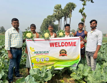 Indian farmers in a vegetable field holding fresh cauliflower and a Nexgen Vegetable Seeds banner.