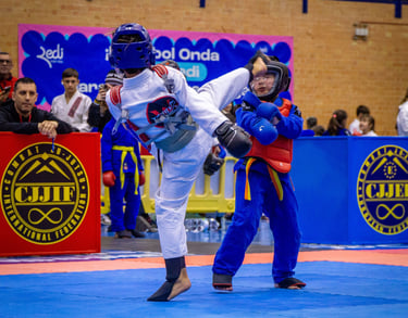 luchadores de Combat Ju Jutsu en una pelea reglam,entaria