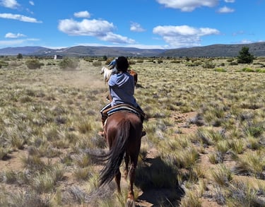 A person on horseback riding away from the camera in a wide-open, grassy field.