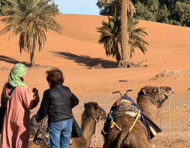 marrakech desert tours