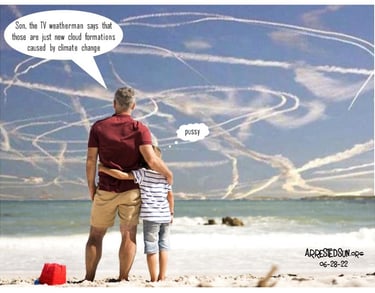 Arrested Sun - Geoengineering Awareness Memes - Dad and Son meme