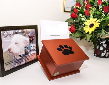 Servicio de cremación de mascotas en Playa del Carmen,