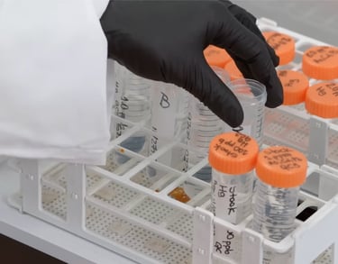 Scientist organizing chemical samples in test tubes within a laboratory rack in gummy factory