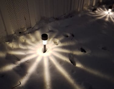 Warm pathway garden lights illuminating a front yard walkway at night