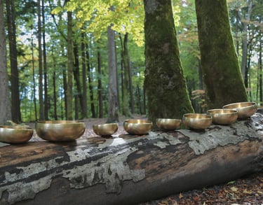 Bols chantants planétaires dans un cadre naturel