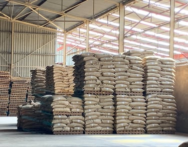 Import café trading arabica Afrique