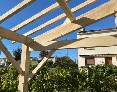 carport en bois massif