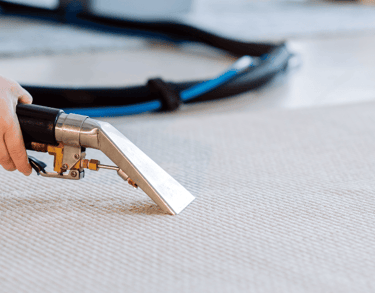 Équipement professionnel utilisé pour le nettoyage à sec de moquette à Albi