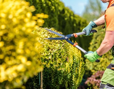 Elite Maintenance Landscaping