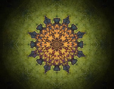 regresijas terapija cena