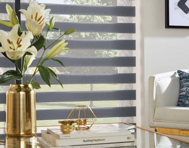Dual shade roller blinds