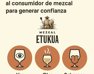 Infografía simple que muestra los pasos básicos para catar mezcal: ver, oler, saborear.
