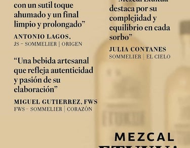 Collage de citas o testimonios escritos de sommeliers superpuestos elegantemente sobre una imagen 