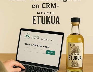 Persona verificando registro de productor en sitio web del Consejo Regulador del Mezcal