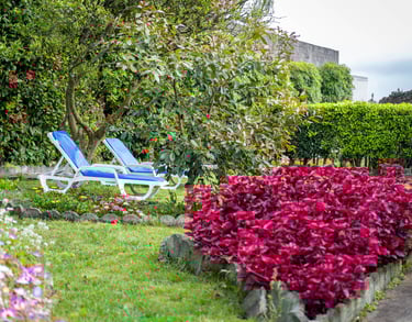 Quinta Sao Roque garden