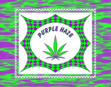 Purple Haze psychedelic graphics featuring a green marijuana leaf on a checkered poster.. 