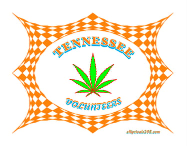 Tennessee Volunteers poster with a marijuana leaf on an orange checkered picture frame.