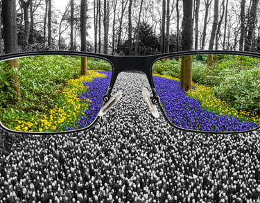 View of color blindness: image is black and white, but through the eyeglasses lens, there is color