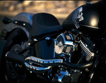 Custom black Harley-Davidson motorcycle featuring a skull graphic on the gas tank and chrome engine details.