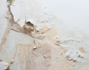 water damaged wall repair in swinton and salford