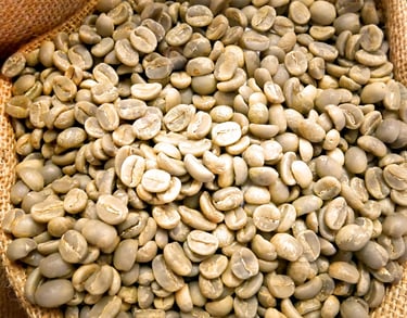 green coffee bean extracts, botanical extracts