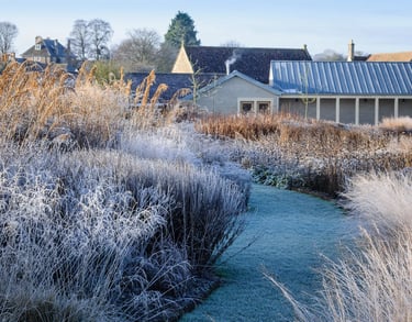 Dutch landscape designer Piet Oudolf known for naturalistic planting and modern garden design philosophy.