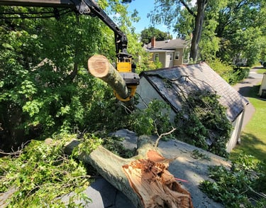 Professional emergency tree removal service lifting a fallen oak branch off a residential shingle roof.