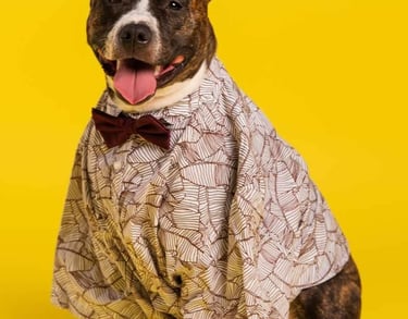 perro elegante con moño y traje