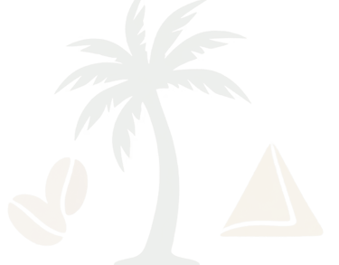 Minimalist light gray tropical icons featuring a palm tree, coffee beans, and a pyramid.