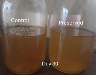 black tea preservation by cultured dextrose
