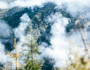 Kalnų peizažas su debesimis ir spygliuotu medžiu, simbolizuojantis Skaido, MB vertybes 