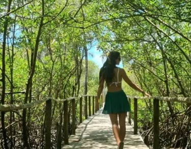 transfer para trancoso