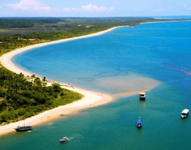 transfer para santo andre ba