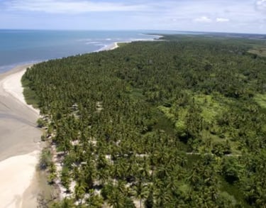 transfer para santo andre ba