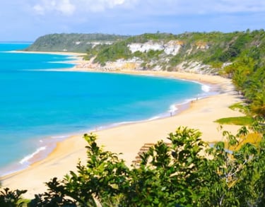 transfer para praia do espelho