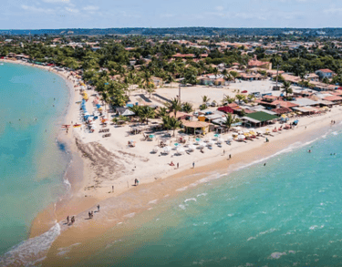 transfer para coroa vermelha