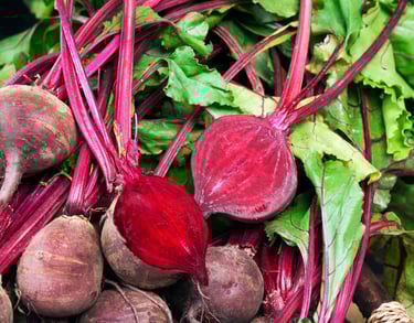 Close-up of ripe red beetroot ready for harvest – Seed Envy premium beetroot seeds