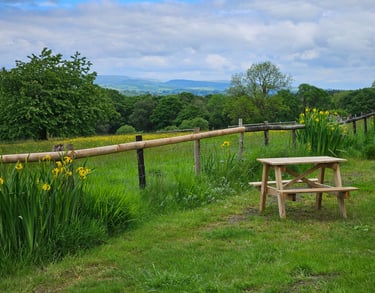 Outside table in peaceful cottage. Near Brecon Beacons.