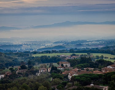 a view of a city with a view of the mountains