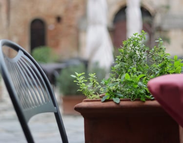 a potted planter with a plant in a potted pot