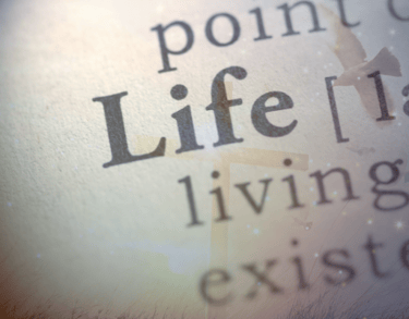 Life in Christ