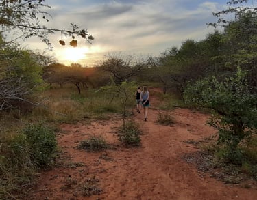 Guided and self guided bush walks at Albizia tented camp in Hluhluwe