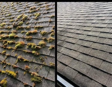 ROOF MOSS REMOVAL MEDFORD OREGON