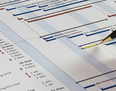 Primavera Scheduling Services