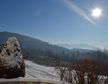 Vue sur la vallée enneigée