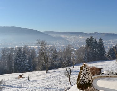 Vue enneigée sur la vallée de Remiremont 