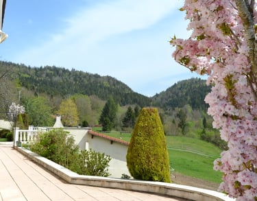 Terrasse côté ville (face Sud)