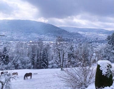 Vue enneigée sur la vallée de Remiremont